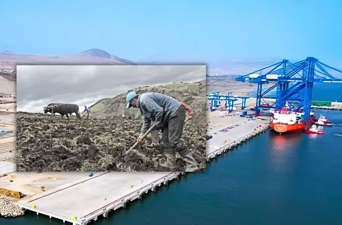Megapuerto de Chancay: Advierten que el acuerdo con China no beneficiaría a la industrialización del Perú